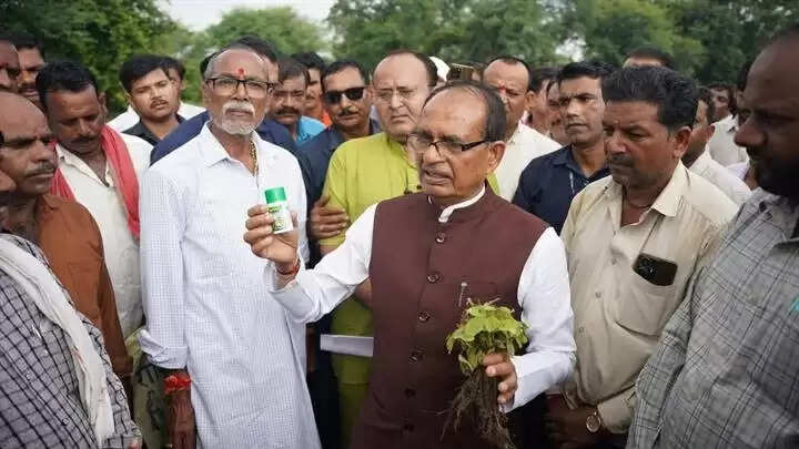 केंद्रीय मंत्री शिवराज सिंह ने मप्र के विदिशा में क्षतिग्रस्त सोयाबीन फसल का खेत में पहुंचकर किया निरीक्षण