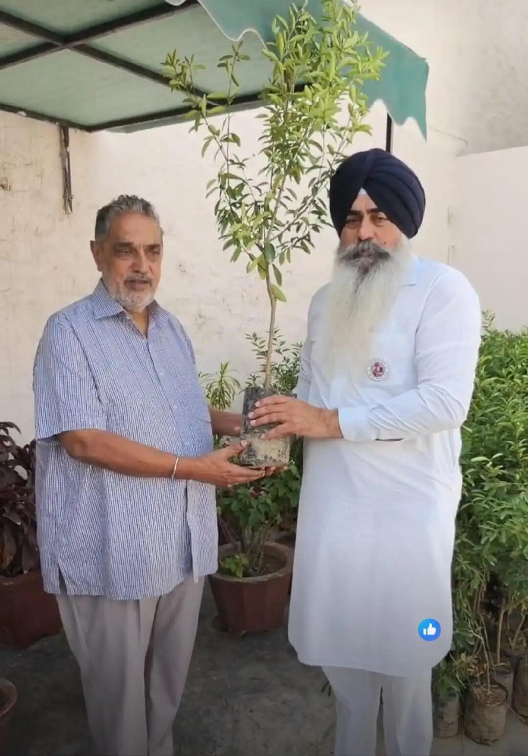 पारंपरिक कागजी नींबू की किस्म को बचाने की सराहनीय पहल, किसानों तक पहुंचाई जा रही कलमें