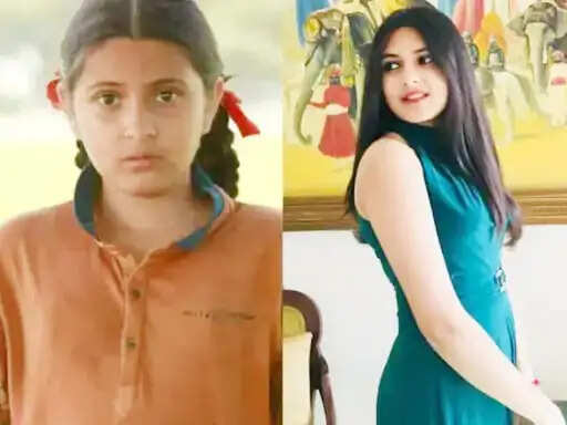 पत्रकार बनना चाहती थी दंगल गर्ल सुहानी भटनागर