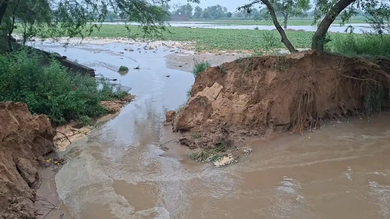 &nbsp; गांव निर्बाण स्कूल के पास टूटी गुड़िया खेड़ा माइनर, मूंगफली व धान की फसल जल मग्न  ग्रामीण बोले : रात को टूट गई माइनर
