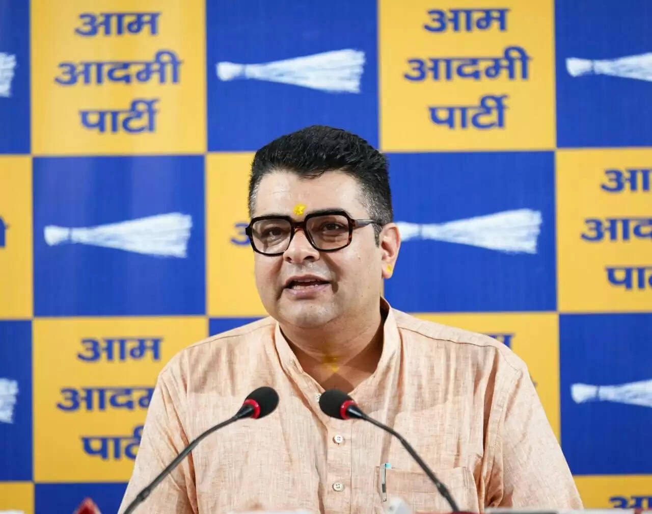 आआपा नेता अंकुश नारंग ने दिल्ली में बाढ़ के हालात पर सरकार पर उठाए सवाल, राहत कार्यों में तेजी की मांग