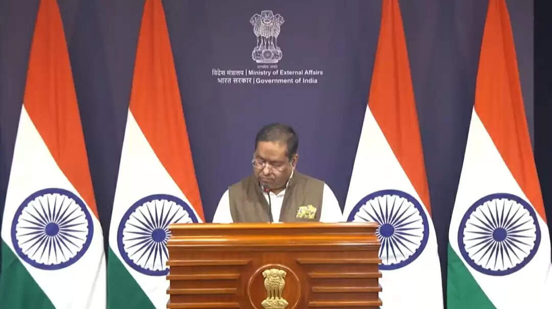 अमेरिकी आयोग की रिपोर्ट को खारिज कर भारत ने भारतीय मूल के लोगों की सुरक्षा का मुद्दा उठाया