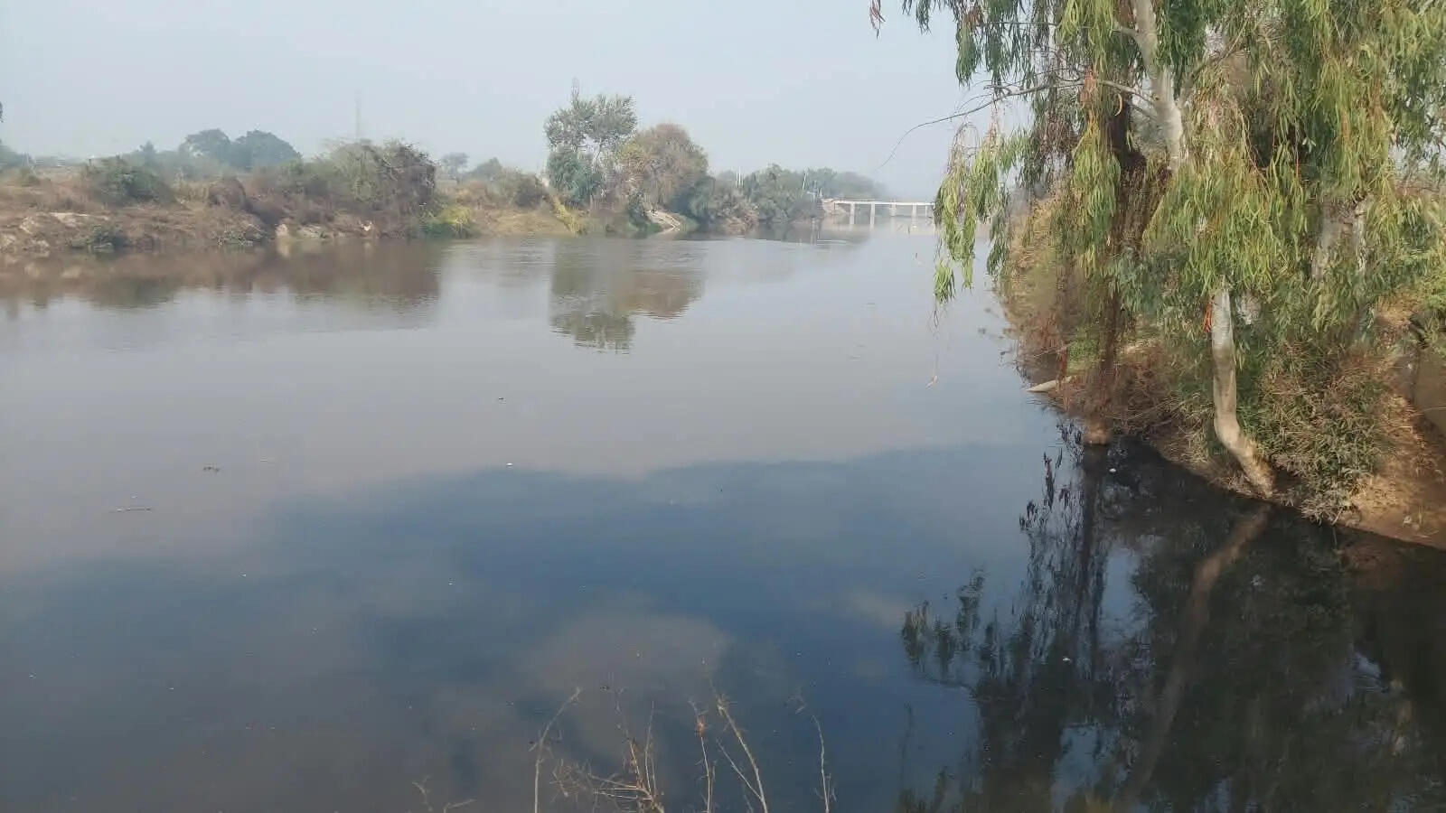 घग्गर नदी का प्रदूषण गंभीर, हरियाणा के 91 ब्लॉक अति-दोहित, फिर भी ठोस कार्ययोजना नहीं : कुमारी सैलजा