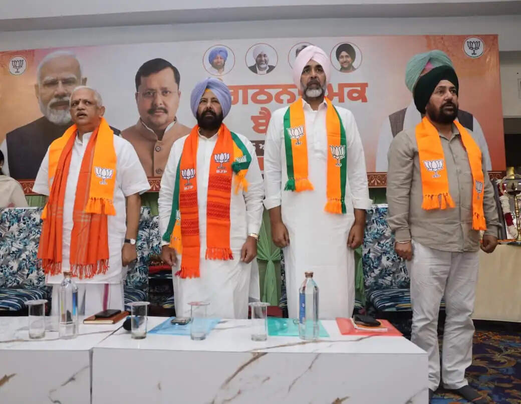 यूपी-बिहार विकास की राह पर, पंजाब रह गया पीछे : बीएल संतोष
