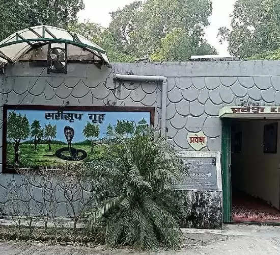 सर्पों की नींद टूटते ही खुल गया कानपुर प्राणि उद्यान का सरीसृप गृह