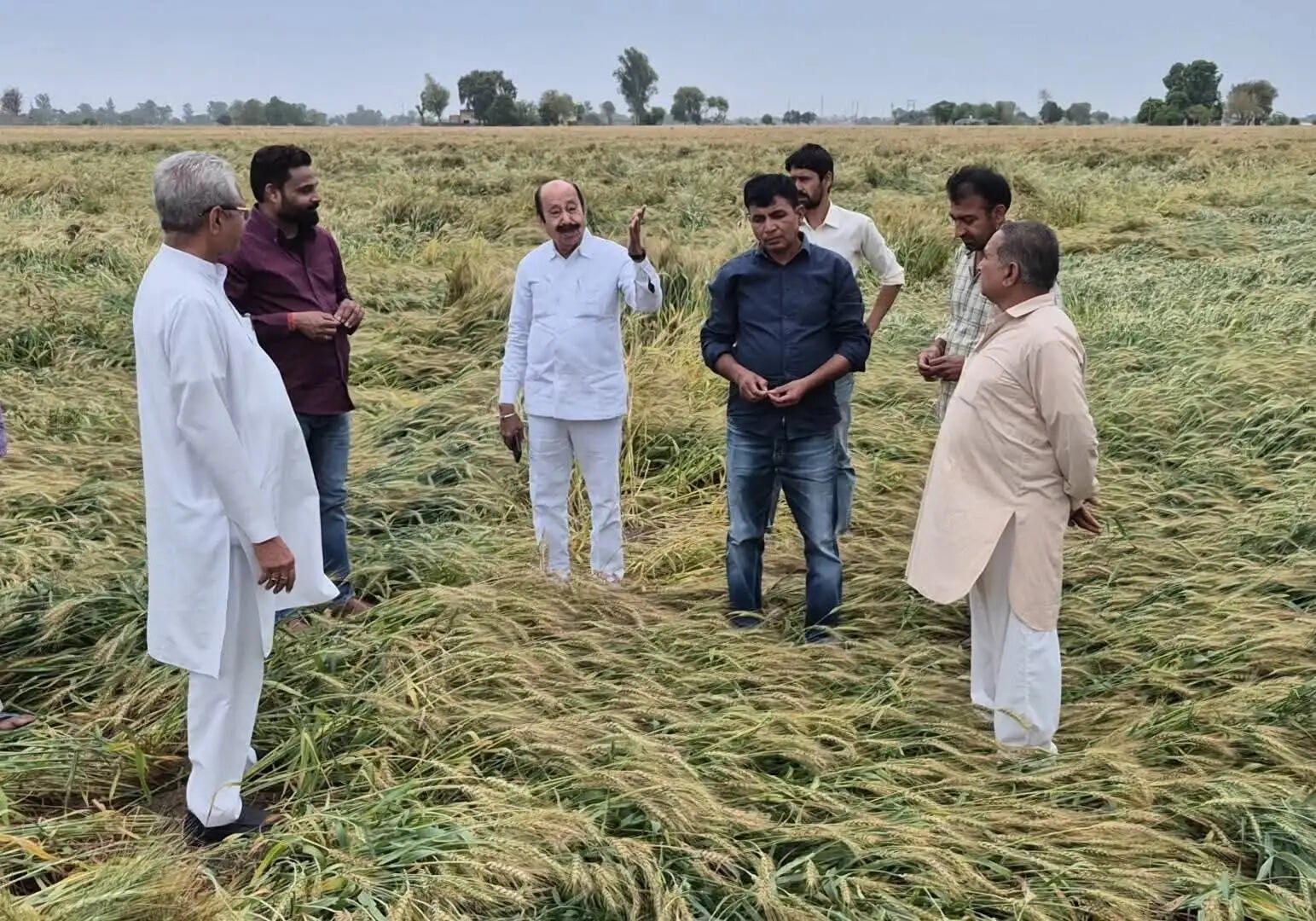 &nbsp;तेज हवा के साथ बरसात, सरसों व गेहूं फसल को नुकसान