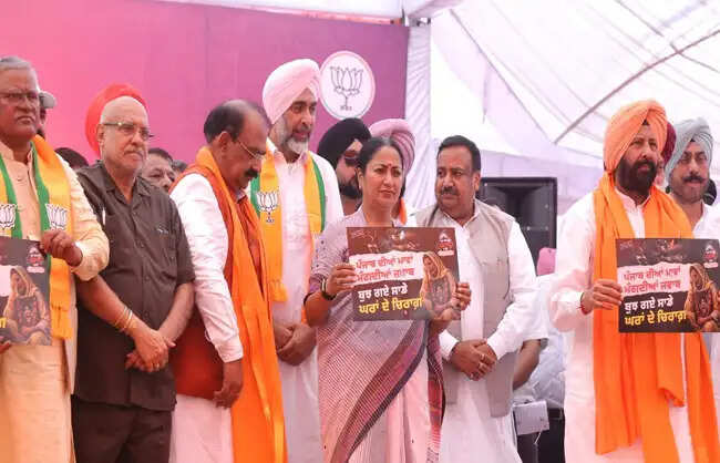 &nbsp;&nbsp;पंजाब में नशा खत्म करने की 6 बार डेडलाइन बदल चुकी है &lsquo;आआपा&rsquo; सरकार : रेखा गुप्ता