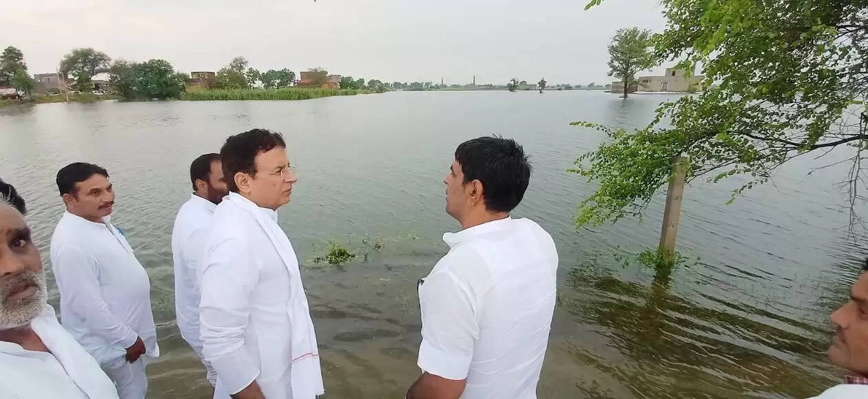 &nbsp;हरियाणा में बाढ़ जैसे हालात नायब सरकार की लेटलतीफी का परिणाम : रणदीप सुरजेवाला​​​​​​​