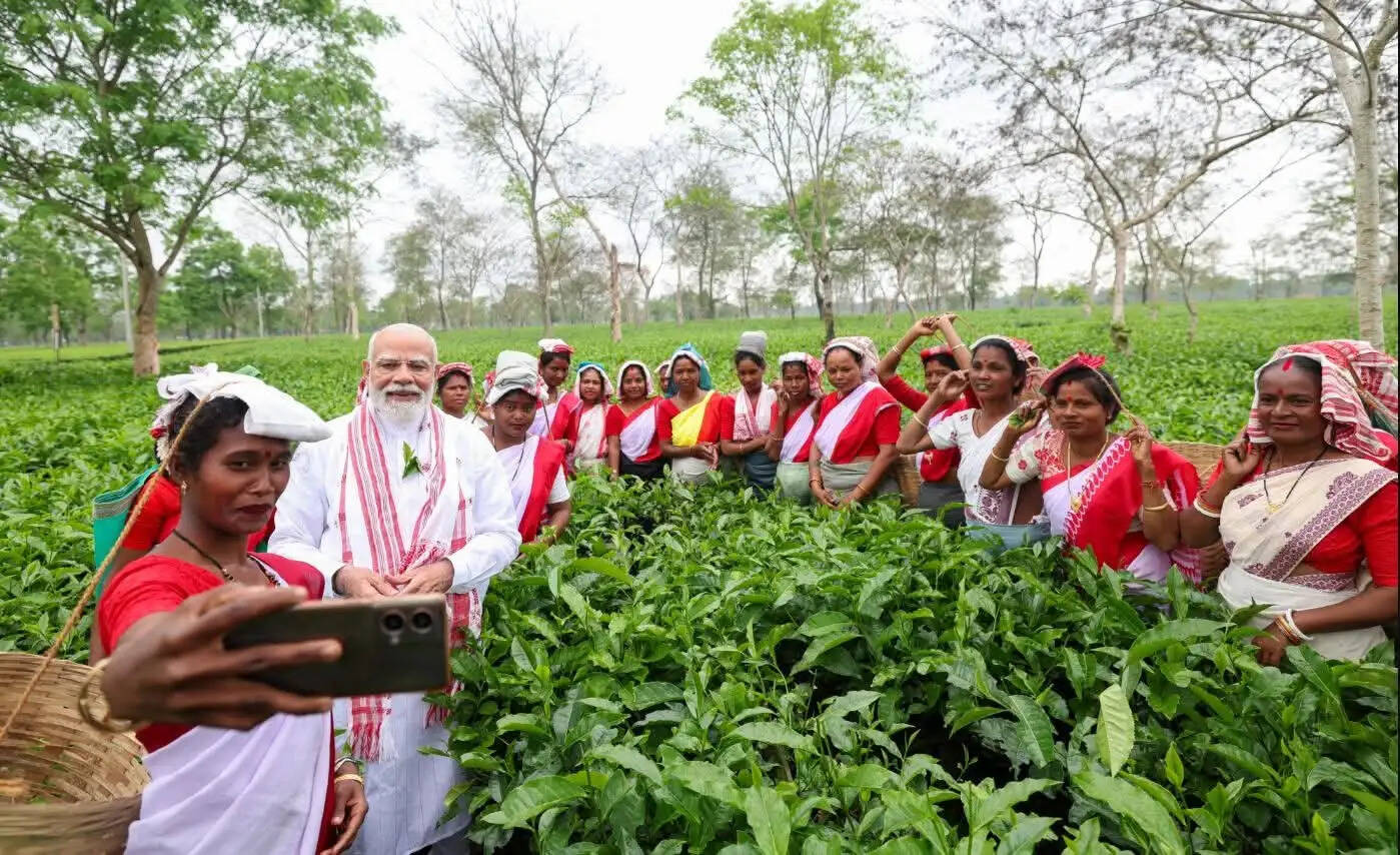 &nbsp;डिब्रूगढ़ के मनोहारी चाय बागान में प्रधानमंत्री मोदी ने तोड़ी चाय की पत्तियां