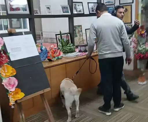 &nbsp; गुरुग्राम के 13 स्कूलों को उड़ाने की धमकी:ईमेल मिलने के बाद छुट्&zwnj;टी की, स्टूडेंट्स बसों में बैठाकर भेजे; बम-डॉग स्क्वायड का सर्च ऑपरेशन