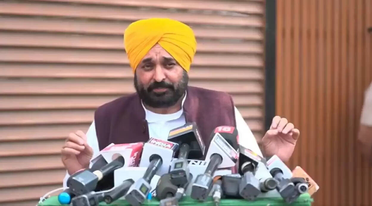 &nbsp;भाजपा लोकतंत्र को तानाशाही में बदलना चाहती है: भगवंत मान