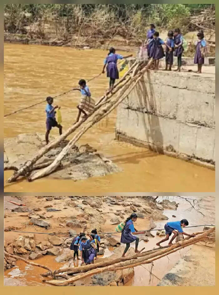 &nbsp;छत्तीसगढ़ के दं&nbsp;तेवाड़ा जिले में बाढ़ से 23 पुल टूटे, बच्चे जान जोखिम में डालकर स्कूल जा रहे