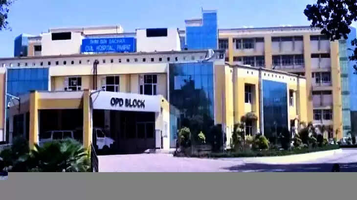 हाई काेर्ट के आदेश के बाद महिला फार्मेसिस्ट बर्खास्त, गलत हलफनामा देने का आराेप