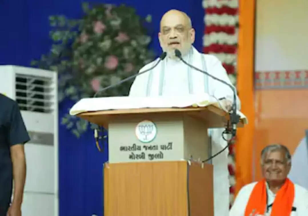 गुजरात में बोले अमित शाह- तमिलनाडु और बंगाल में भी बनेगी भाजपा-एनडीए की सरकार