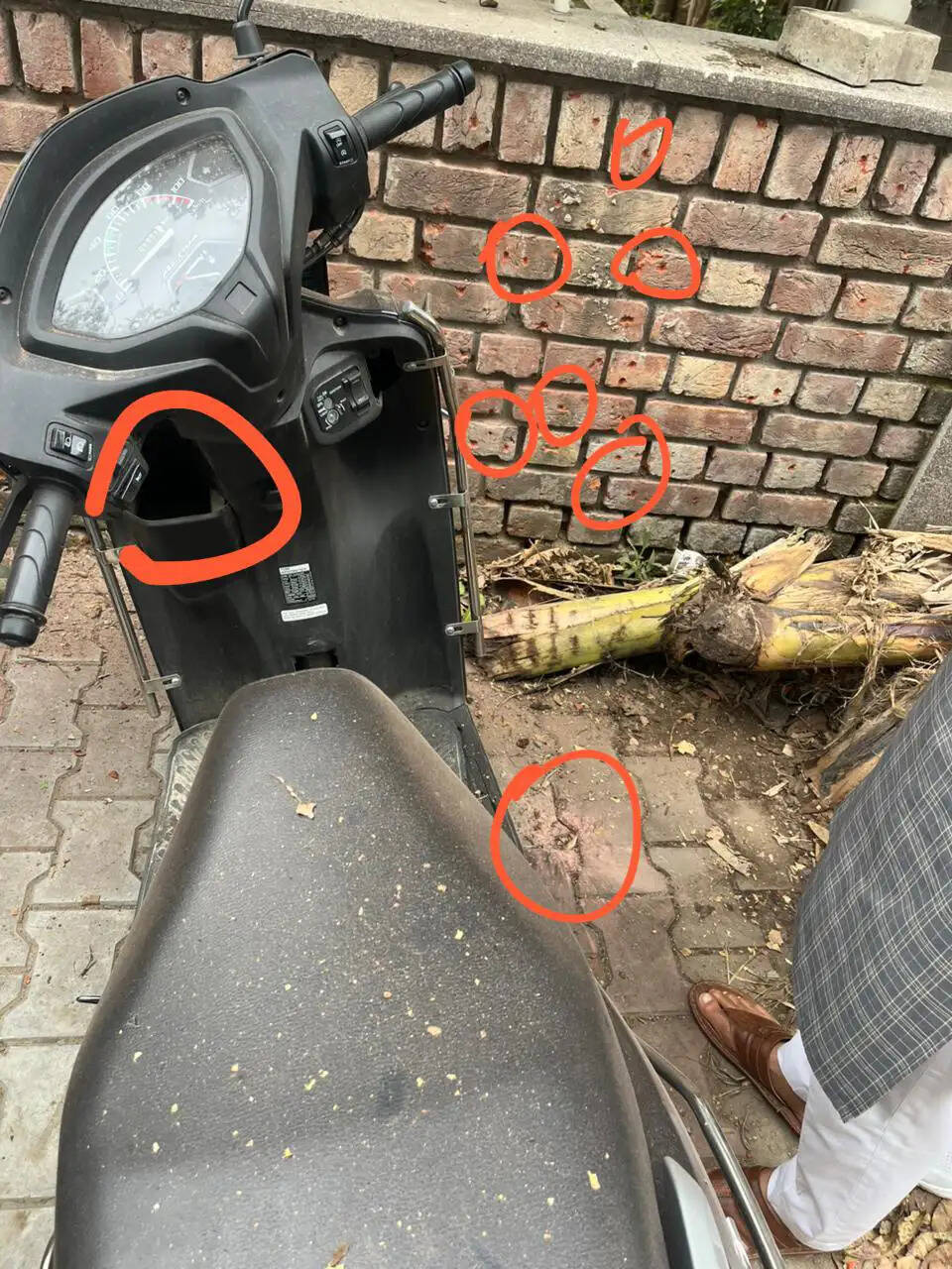 &nbsp;&nbsp;चंडीगढ़ में पंजाब भाजपा मुख्यालय के बाहर धमाका, इमारत के शीशे टूटे, एक वाहन क्षतिग्रस्त ​​​​​​​