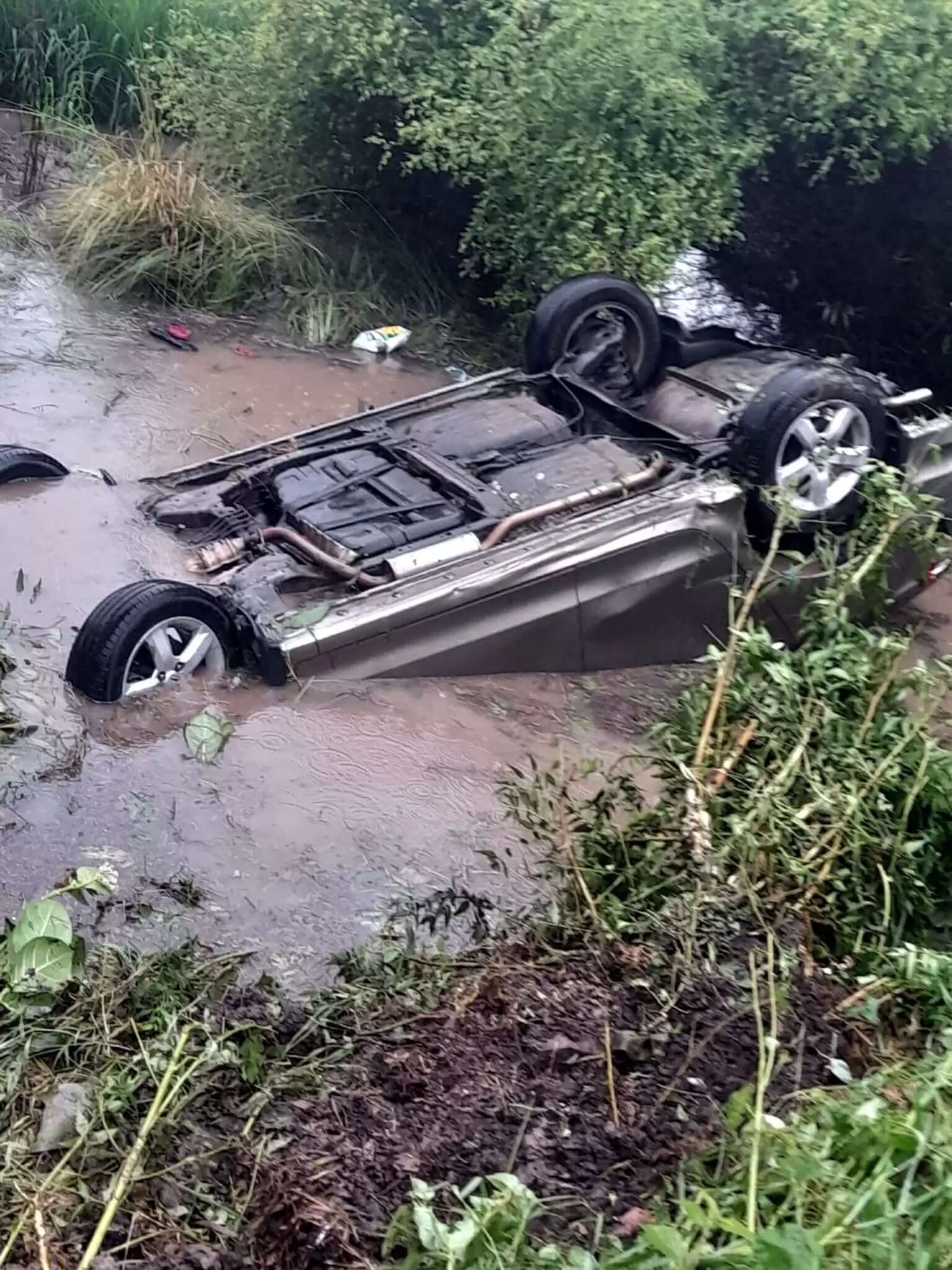 फतेहाबाद में कार गड्ढे में गिरी, युवक और पालतू कुत्ते की मौत