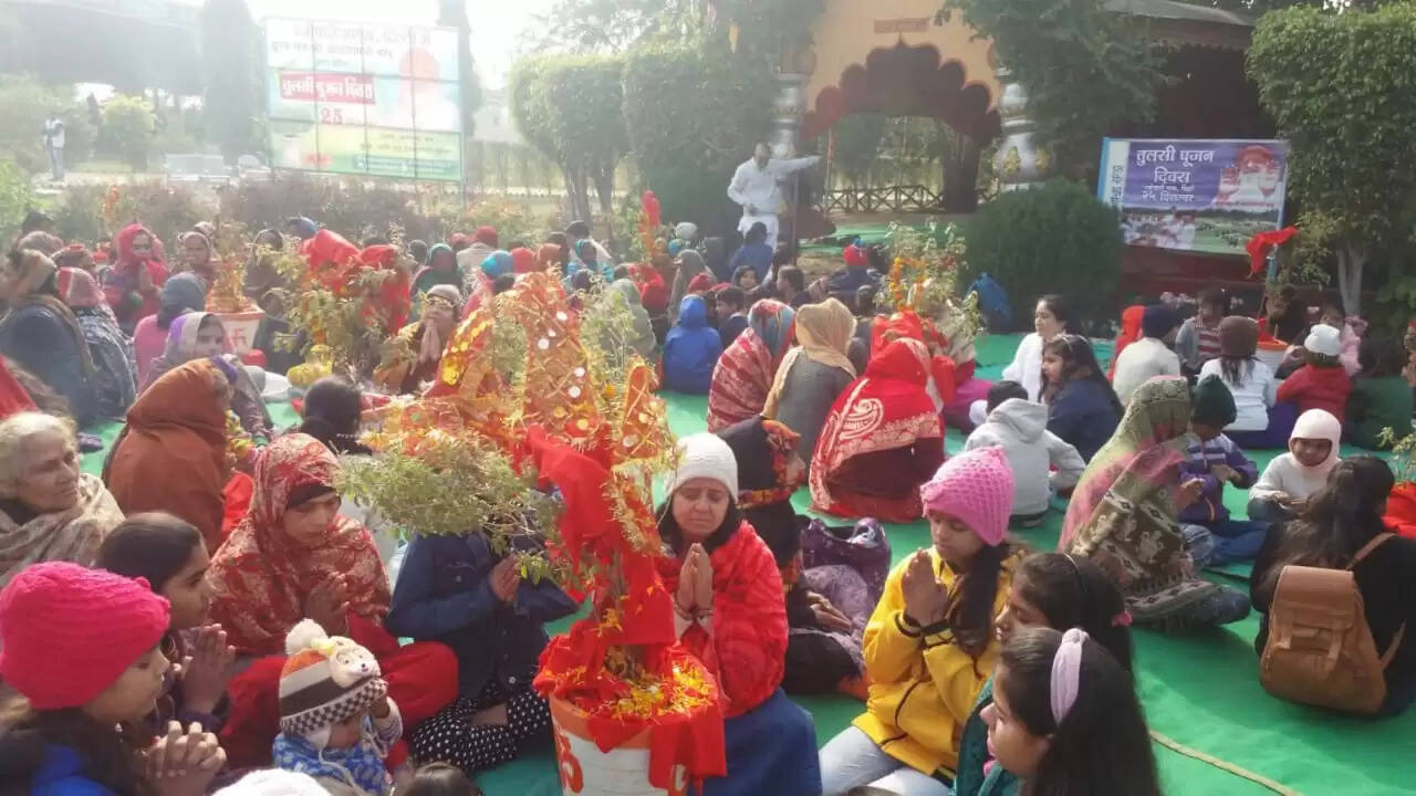 बापू के भक्तों ने मनाया घूम धाम से तुलसी पूजन दिवस,किया भंडारे का आयोजन:-