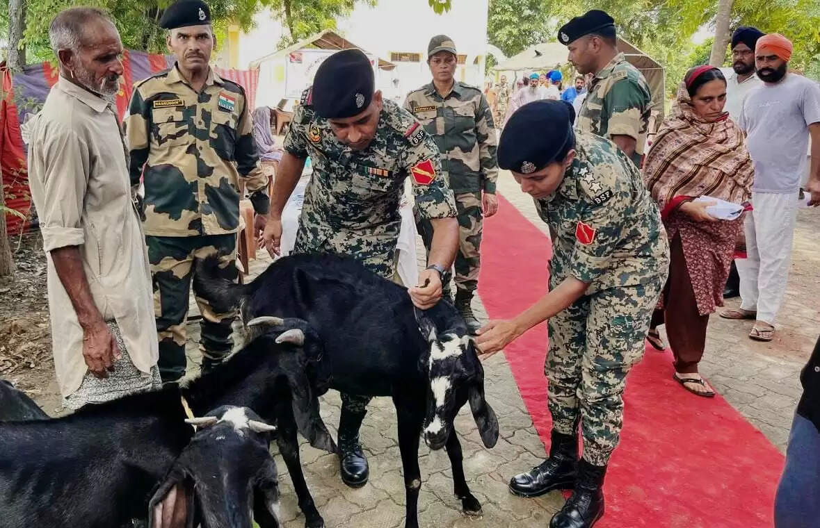 &nbsp;पंजाब के सीमावर्ती जिलों में पशुओं को बचाने के लिए आगे आई बीएसएफ