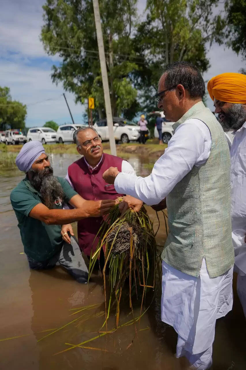 &nbsp;&nbsp;केंद्रीय कृषि मंत्री शिवराज चौहान ने पंजाब में अवैध खनन को बताया बाढ़ का बड़ा कारण &nbsp;केंद्रीय कृषि मंत्री शिवराज चौहान ने पंजाब में अवैध खनन को बताया बाढ़ का बड़ा कारण ​​​​​​​