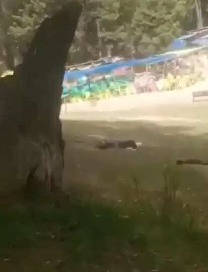 पहलगाम आतंकी हमले में कई लोगों के मारे जाने की आशंका, कम से कम 20 लोग घायल