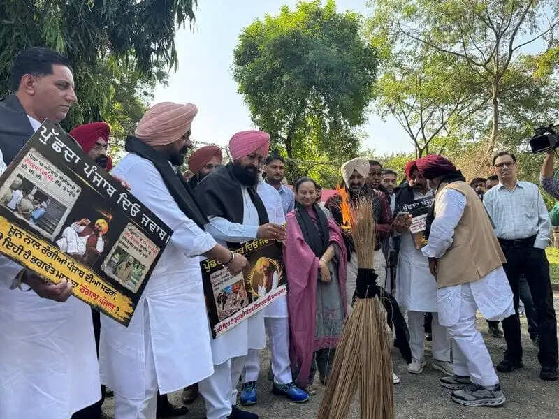 बाजवा 