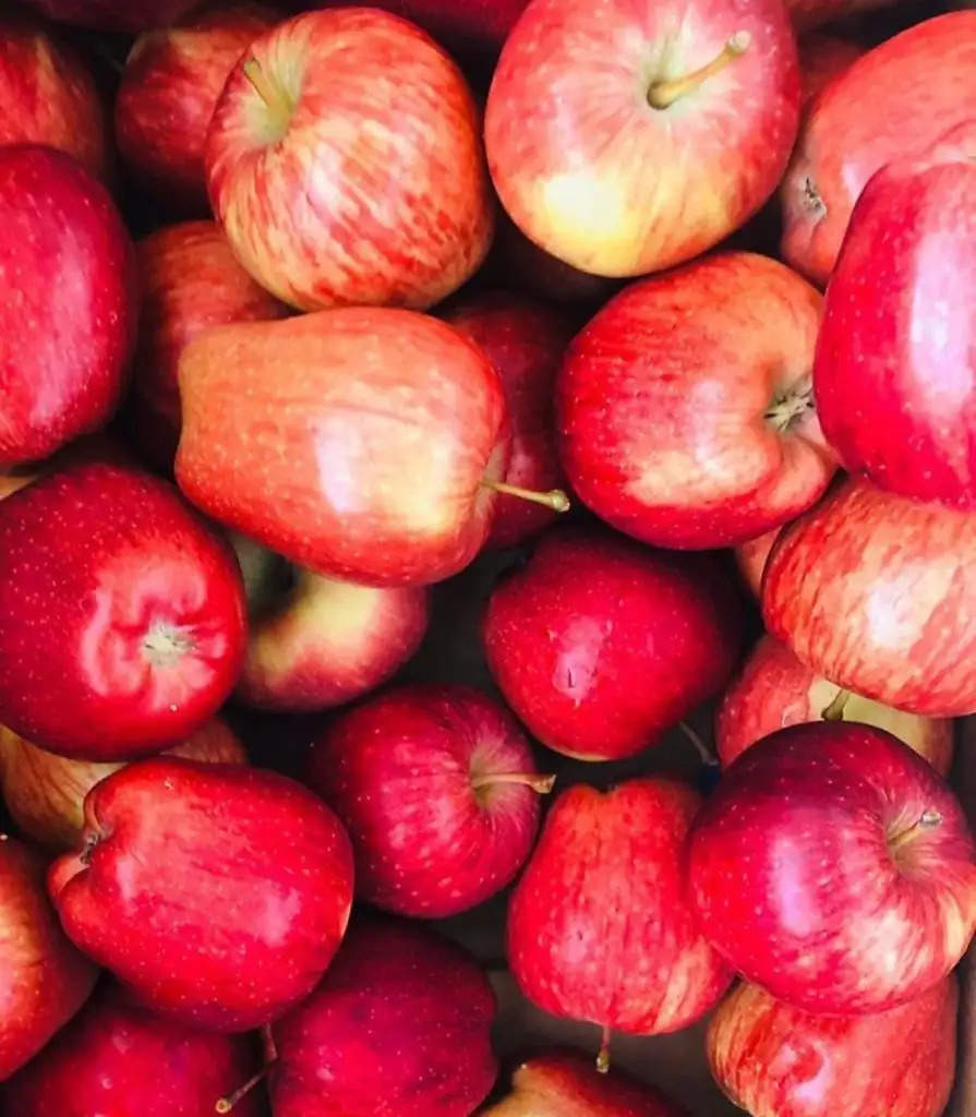  हिमाचल में पिछले पांच साल में सेब की सबसे कम पैदावार, दो करोड़ पेटियों से नीचे उत्पादन